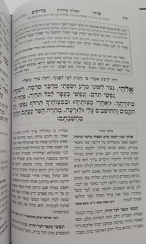 סידור שיח צדיקים - לימות החול / פורמט בינוני