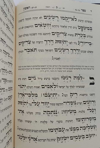 תהילים - עם ביאור משולב נהרות אליהו / פורמט גדול