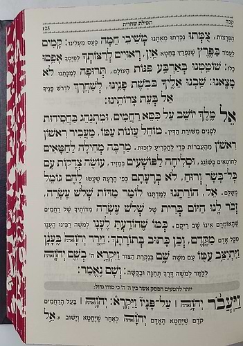 הסידור המבואר - נהרות אליהו נוסח ע