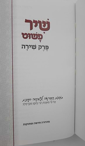 שיר פשוט - פרק שירה / על פי משנת רבי נחמן מברסלב