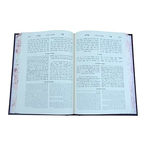 פרי צדיק לרבינו צדוק הכהן זיע