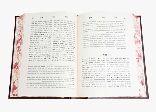 חזון איש המבואר - על מסכת פרה / עוז והדר