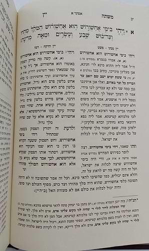 משתה יין - על מגילת אסתר דרך פרד