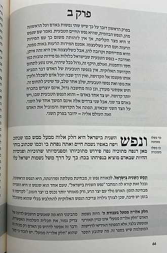 התניא המבואר ה' כרכים - הרב עדין שטיינזלץ / מהדורה מחודשת (הסט השלם)