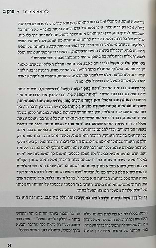 התניא המבואר ה' כרכים - הרב עדין שטיינזלץ / מהדורה מחודשת (הסט השלם)