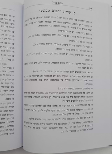 שבט ברזל / הרב שלמה אבינר