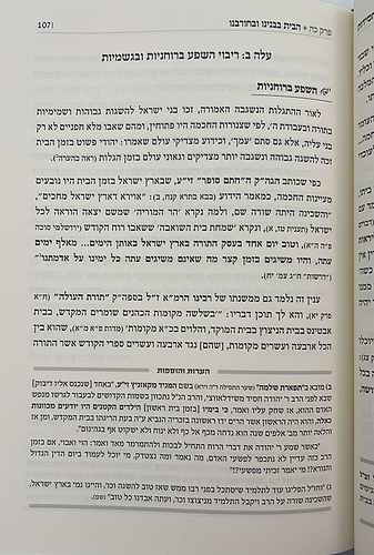 מסילות באור החסידות - מועדים חלק ב'