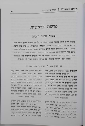 תורה ומצווה ב' כרכים - על ספר המצוות לרמב
