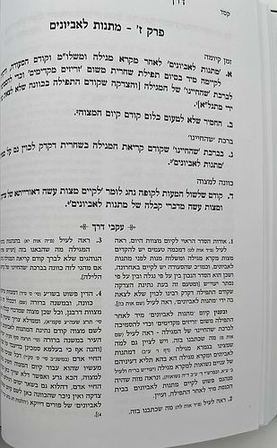 דרך ישרה - הנהגות כרך ב' / הגאון ר' שריה דבלצקי זצ