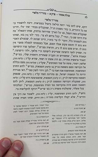 מגילת אסתר - עם פירוש מהרי״ד מלאדי / נכד הצמח צדק