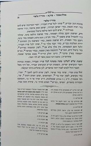 מגילת אסתר - עם פירוש מהרי״ד מלאדי / נכד הצמח צדק