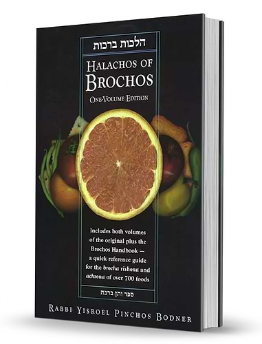 Halachos of Brochos - Rabbi Yisroel Pinchos Bodner