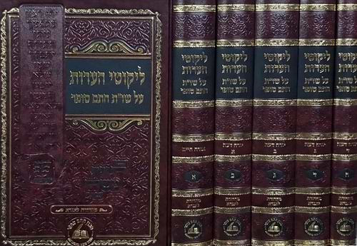 ליקוטי הערות ה' כרכים / על שו