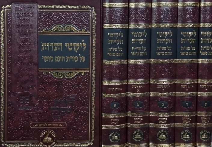 ליקוטי הערות ה