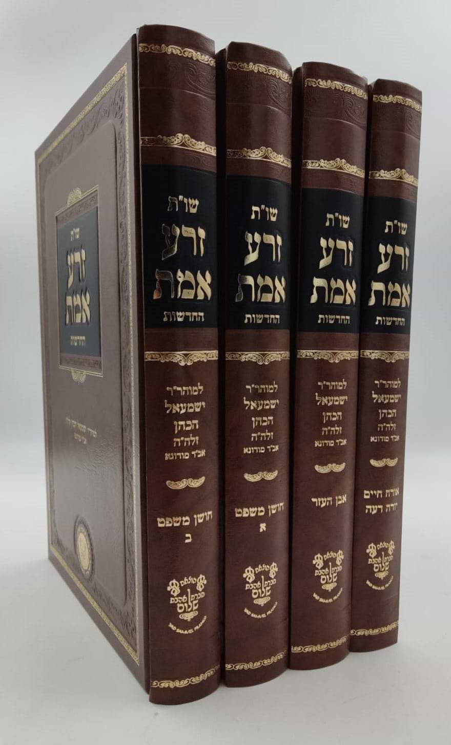 שו"ת זרע אמת החדשות - לר