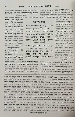 מעשה חושב - על מלאכת המשכן / רבינו רפאל עמנואל חי ריקי זיע