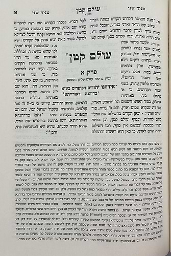 משנת חסידים ויושר לבב סט ג' כרכים / רבינו רפאל עמנואל חי ריקי זיע