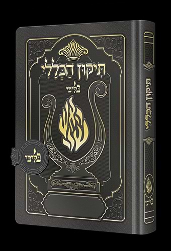 תיקון הכללי מגנט - הנבל עם האש שלי צבע אפור עכבר פורמט בינוני / בליבי