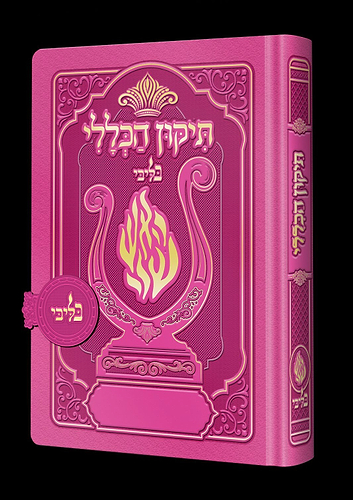 תיקון הכללי מגנט - הנבל עם האש שלי צבע פוקסיה פורמט בינוני / בליבי
