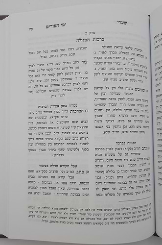 שערי ימי הפורים / הרב טשזנר