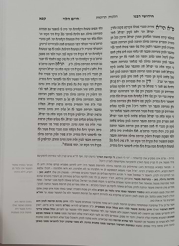 חידושי רבנו חיים הלוי על הרמב