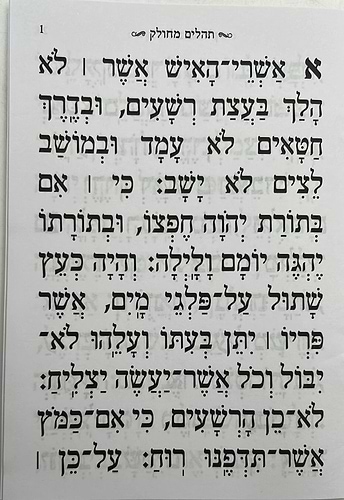 תהילים מחולק עבודת השם בקופסא קשיחה בסגירת מגנט / כח' (28) חוברות