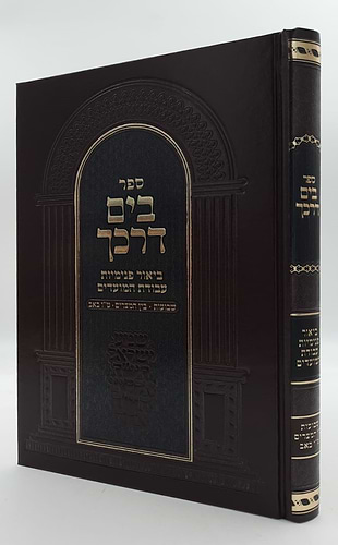 בים דרכך - שבועות • בין המצרים • טו' באב / הרב י.מ מורגנשטרן