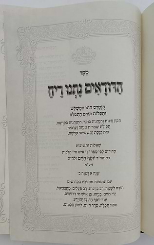 הדודאים נתנו ריח - הלכות חלק ב' / שו