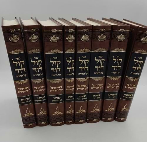 קול דוד על התורה - סט ח' כרכים / רבי דוד וויינשטאק זצוק