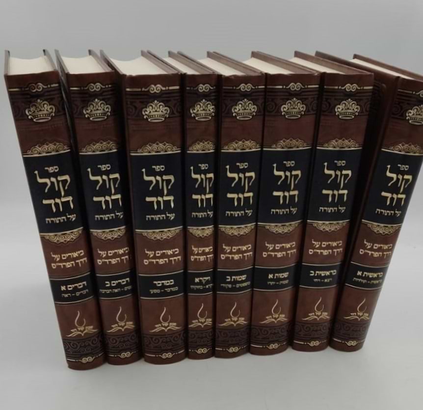 קול דוד על התורה - סט ח