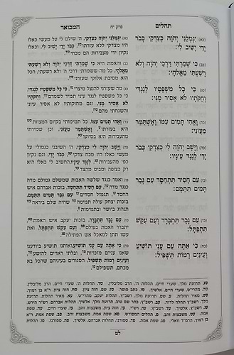ספר תהילים עם ביאור בתורתו יהגה -חלק א / הגאון הרב דוד פולק שליט
