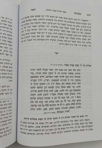 ספר תהילים עם ביאור בתורתו יהגה -חלק א / הגאון הרב דוד פולק שליט