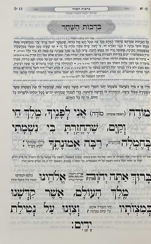 סידור כוונת הלב השלם באותיות גדולות - נוסח ע