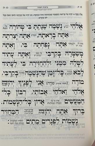 סידור כוונת הלב השלם באותיות גדולות - נוסח ע