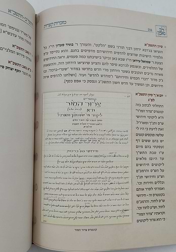 לב נאמן - יומן הגאון הנאמ