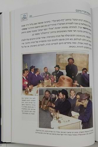 לב נאמן - יומן הגאון הנאמ