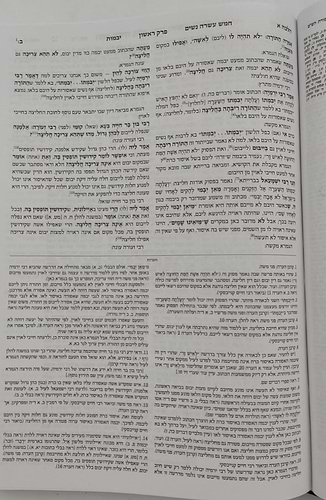 תלמוד ירושלמי שוטנשטיין - יבמות ב' / פורמט בינוני - פנינים