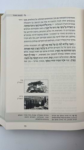 התנ