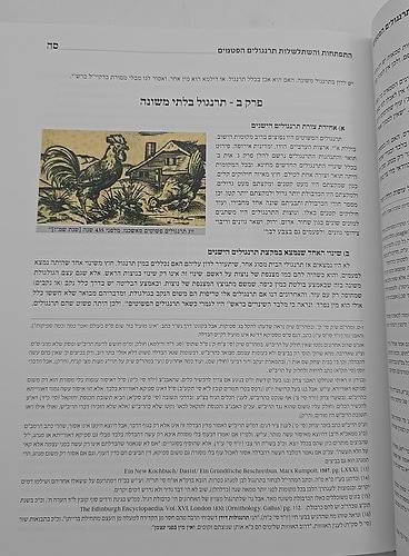 טריפות העוף השכיחות בזמנינו / הרב אהרן קושיצקי