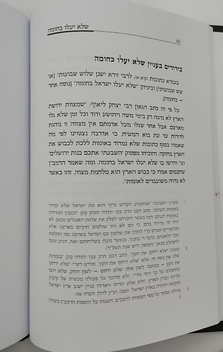 הלכות משיח לרמב