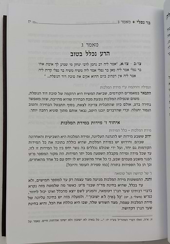 שיעורי פרק חלק / מהגאון רבי משה שפירא זצוק