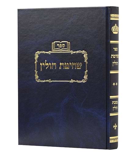שחיטת חולין חלק ב' על הש