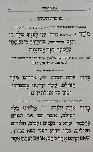 מחזורים בן פורת יוסף - נוסח יהודי מרוקו ה' כרכים / פורמט גדול