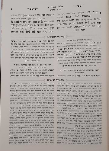 בני יששכר לרבי צבי אלימלך מדינוב זצוק