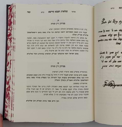 נפלאות הסבא קדישא מראדושיץ - כרך א' / על התורה ומועדים