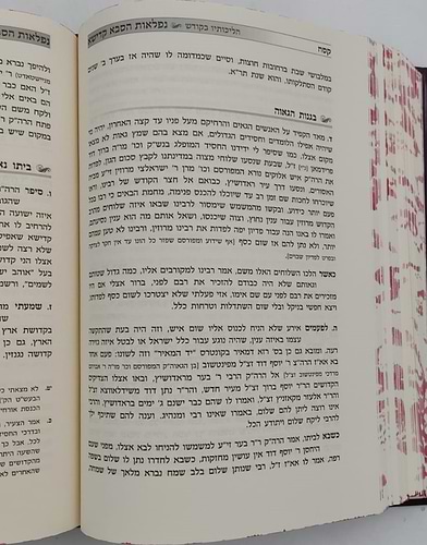 נפלאות הסבא קדישא מראדושיץ - כרך א' / על התורה ומועדים
