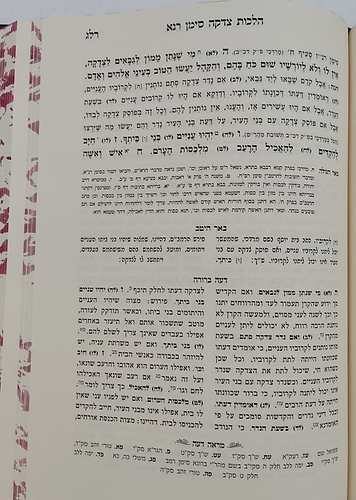דעה ברורה - על שו
