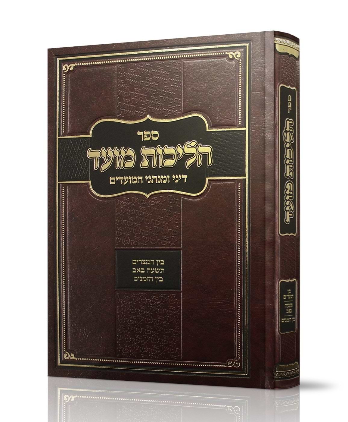 הליכות מועד - בין המצרים תשעה באב בין הזמנים / הרב אופיר מלכה