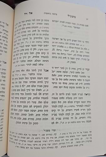 תורת משכיל אל דל - תורה ומועדים ג' כרכים / ר' הלל מקאלאמיא זצוק