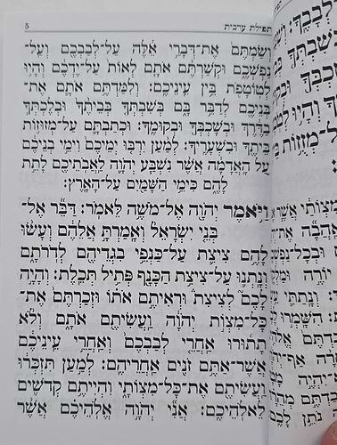 קינות אור חדש - נוסח אשכנז כריכה רכה / פורמט בינוני
